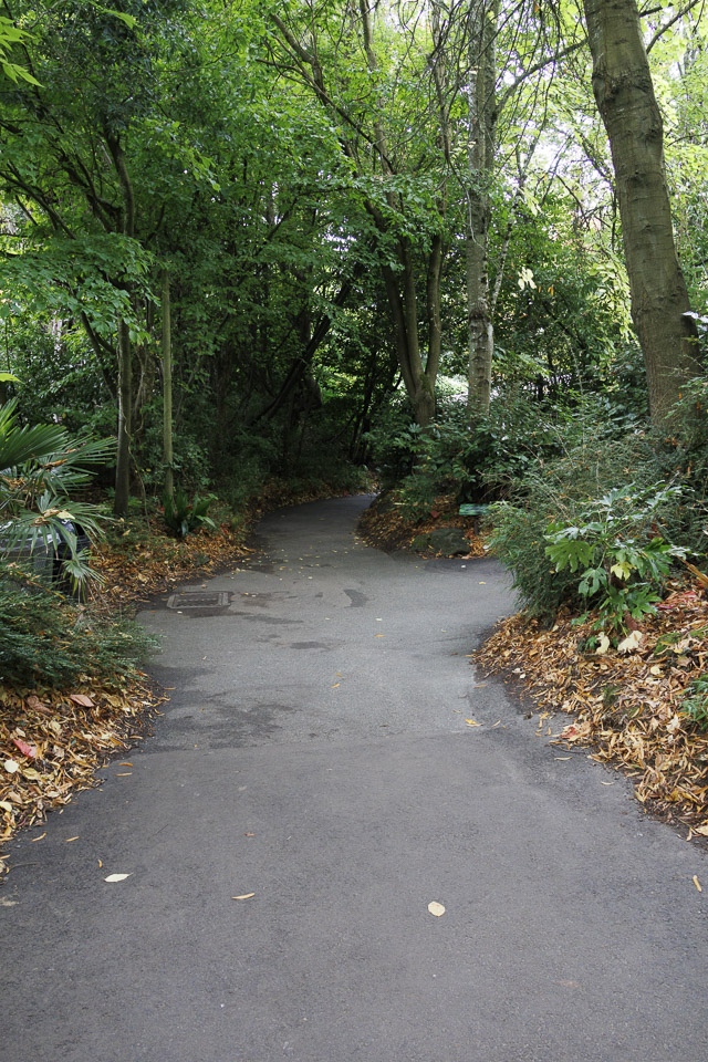 Woodland Park Zoo — photo 16